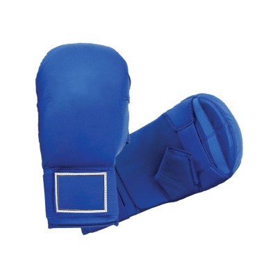 Karate Mitt